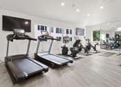 Thumbnail 24 of 29 - a gym with treadmills and other exercise equipment