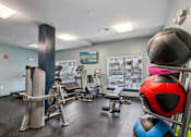 Thumbnail 9 of 17 - A gym with a variety of equipment including weights, a bench, and a rack of exercise balls.