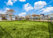 Thumbnail 16 of 39 - the preserve at ballantyne commons fenced backyard with grass
