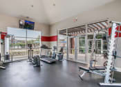 Thumbnail 22 of 39 - the gym at the flats at big tex apartments