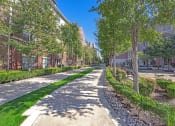Thumbnail 22 of 22 - a tree lined sidewalk in front of some apartments