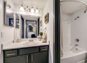 Thumbnail 13 of 40 - the preserve at ballantyne commons apartment bathroom with tub and shower