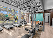 Thumbnail 12 of 33 - A gym with treadmills, weights, and exercise machines.