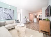 Thumbnail 4 of 66 - Apartment Living Room Florida
