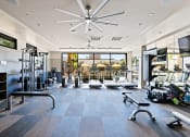 Thumbnail 21 of 30 - a gym with weights and cardio equipment and a large window