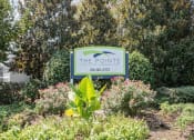 Thumbnail 18 of 36 - a sign for the pointe in a garden with bushes and trees