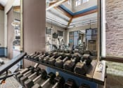 Thumbnail 11 of 25 - a weights rack in a gym with weights on it