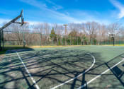 Thumbnail 33 of 36 - a basketball court in a park on a clear day