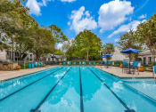 Thumbnail 13 of 24 - a swimming pool with trees in the background