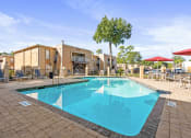 Thumbnail 12 of 18 - our apartments offer a swimming pool