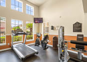 Thumbnail 14 of 35 - the gym at the enclave at woodbridge apartments in sugar land, tx