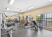 Thumbnail 22 of 29 - the gym at the enclave at woodbridge apartments in sugar land, tx