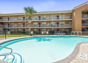 Thumbnail 19 of 29 - a swimming pool with a palm tree in front of a yellow building