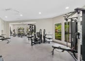 Thumbnail 20 of 35 - fitness center strength training equipment