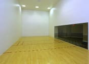 Thumbnail 37 of 40 - racquet ball