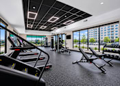 Thumbnail 23 of 26 - A gym with treadmills, weights, and exercise equipment.