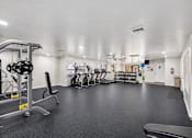 Thumbnail 18 of 26 - A spacious gym with a variety of equipment including a weight bench, a treadmill, and a rowing machine.