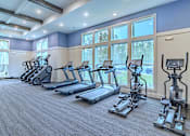 Thumbnail 14 of 41 - A row of treadmills and elliptical machines in a gym.