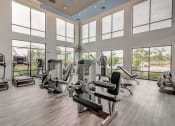 Thumbnail 27 of 36 - the gym has plenty of cardio equipment and large windows