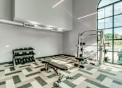 Thumbnail 15 of 33 - A gym with a bench, weights, and a squat rack.
