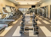 Thumbnail 15 of 23 - a large fitness room with cardio equipment and weights