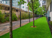 Thumbnail 38 of 41 - a grassy area with trees and a fence on the side of a building