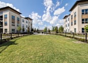Thumbnail 33 of 33 - A grassy area in front of apartment buildings.