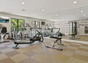 Thumbnail 41 of 44 - the gym at the enclave at woodbridge apartments in sugar land, tx