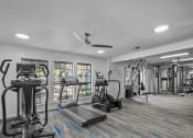 Thumbnail 14 of 21 - a gym with weights and cardio machines and a ceiling fan