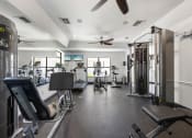 Thumbnail 9 of 27 - a gym with weights and cardio machines and a ceiling fan