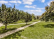 Thumbnail 14 of 15 - A pathway in a park with trees on both sides.