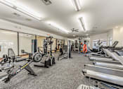 Thumbnail 27 of 28 - A gym with treadmills, weights, and exercise equipment.