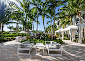 Thumbnail 17 of 47 - Two white lounge chairs are on a patio with palm trees in the background.