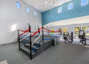Thumbnail 44 of 67 - a gym with a seesaw and weights in a building with white and blue walls