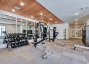 Thumbnail 5 of 16 - a gym with weights and a lot of mirrors on the wall