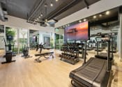 Thumbnail 39 of 66 - a gym with weights and cardio equipment and a tv on the wall
