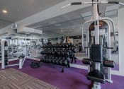 Thumbnail 8 of 29 - a gym with cardio machines and weights on a purple rug