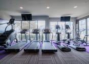 Thumbnail 9 of 29 - a gym with a variety of cardio equipment and windows