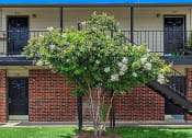 Thumbnail 6 of 8 - a tree in front of a brick building