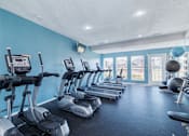 Thumbnail 46 of 61 - A gym with a row of treadmills and exercise balls.