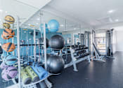 Thumbnail 49 of 61 - A gym with a variety of equipment including dumbbells, exercise balls, and resistance bands.