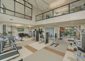 Thumbnail 20 of 23 - a gym with weights and cardio equipment and a window