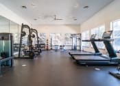 Thumbnail 25 of 36 - two treadmills and other exercise equipment in a gym with windows
