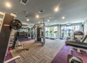 Thumbnail 7 of 29 - gym_Echelon_on_99