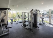 Thumbnail 5 of 45 - a gym with weights and cardio equipment in a building