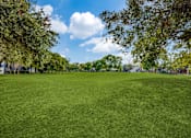 Thumbnail 56 of 62 - A large, lush green field is framed by trees and a clear blue sky.
