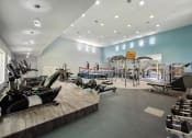 Thumbnail 49 of 67 - a gym with weights machines and other exercise equipment