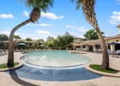 Thumbnail 53 of 67 - a swimming pool with palm trees and chairs around it