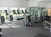 Thumbnail 16 of 44 - Apartment Gym