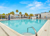 Thumbnail 18 of 29 - our resort style swimming pool is surrounded by our apartments and has palm trees
